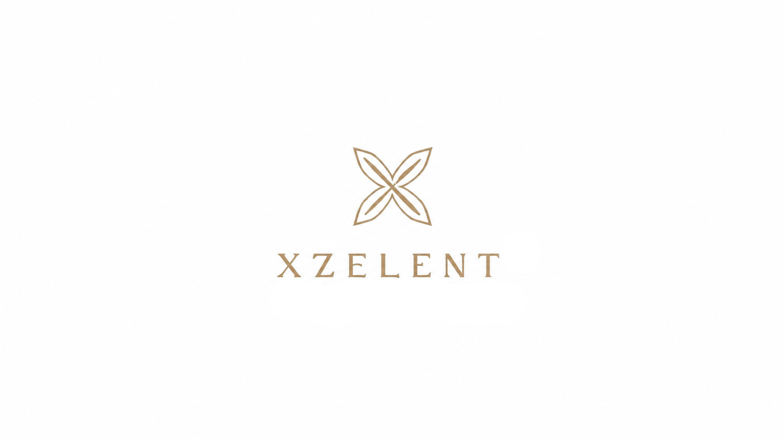 Xzelent Inc